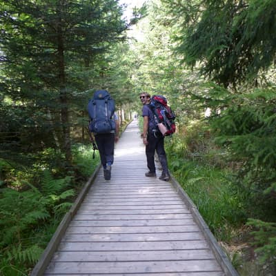 Mittelweg 2022 – Bild 30