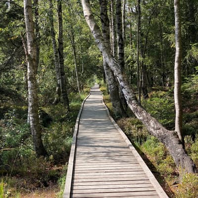 Mittelweg 2022 – Bild 32