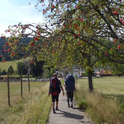 Mittelweg 2022 – Bild 34