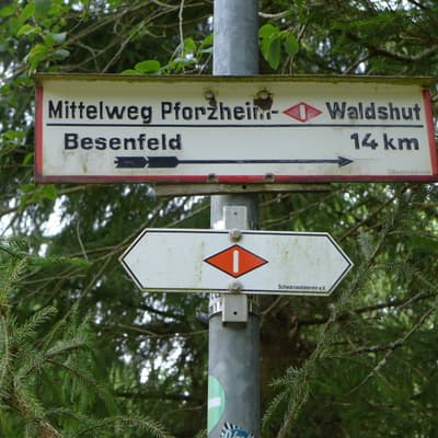 Mittelweg 2022 – Bild 44