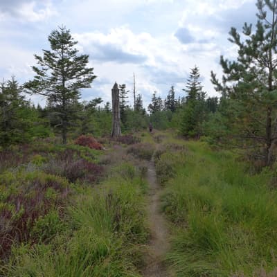 Mittelweg 2022 – Bild 45