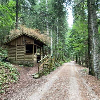 Mittelweg 2022 – Bild 62