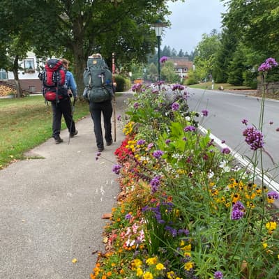 Mittelweg 2022 – Bild 67