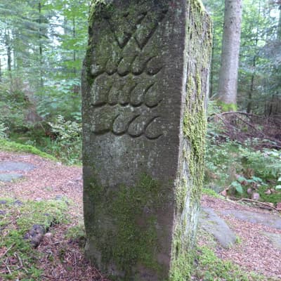 Mittelweg 2022 – Bild 69