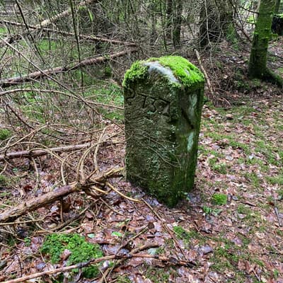 Mittelweg 2022 – Bild 70