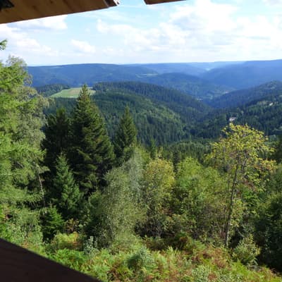 Mittelweg 2022 – Bild 79