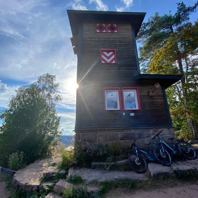 Mittelweg 2022 – Bild 83