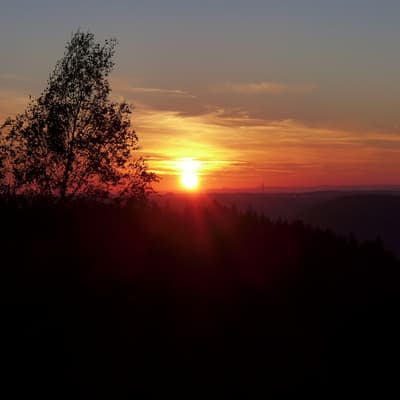 Mittelweg 2022 – Bild 92