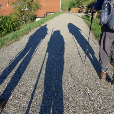 Mittelweg 2022 – Bild 93