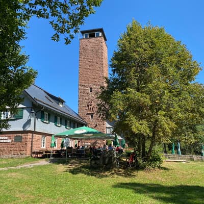 Mittelweg 2022 – Bild 111