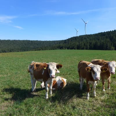 Mittelweg 2022 – Bild 112