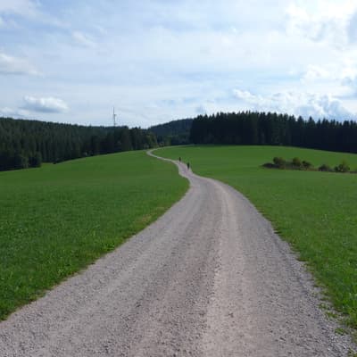 Mittelweg 2022 – Bild 113
