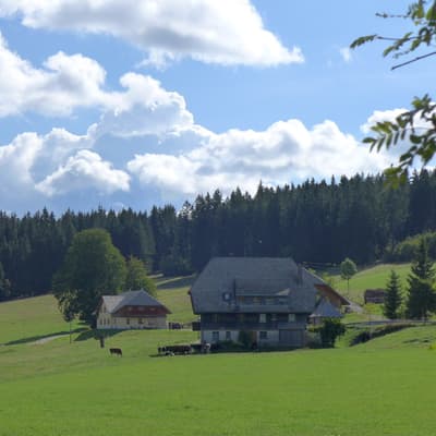 Mittelweg 2022 – Bild 146