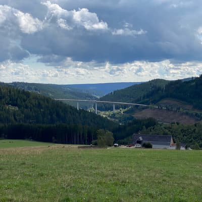Mittelweg 2022 – Bild 148