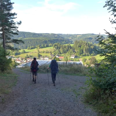 Mittelweg 2022 – Bild 162