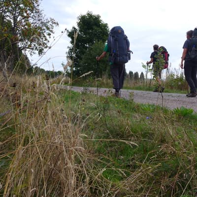 Mittelweg 2022 – Bild 167