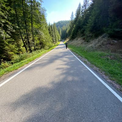 Mittelweg 2022 – Bild 180