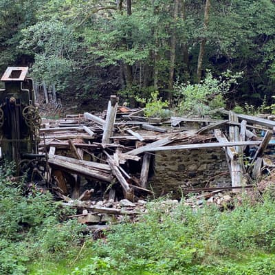 Mittelweg 2022 – Bild 182