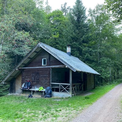 Mittelweg 2022 – Bild 184