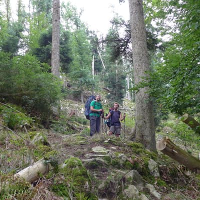 Mittelweg 2022 – Bild 190