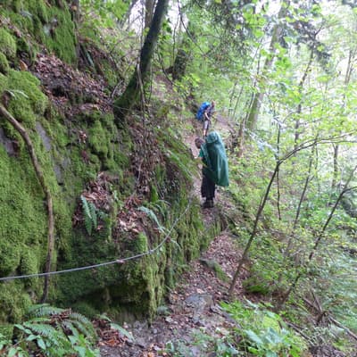 Mittelweg 2022 – Bild 197