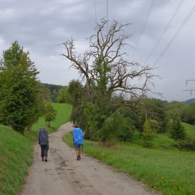 Mittelweg 2022 – Bild 203