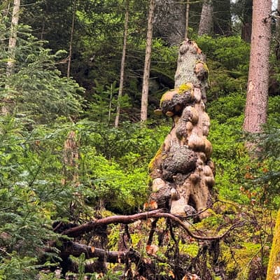 Osterwanderung 2025 – Bild 14
