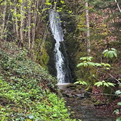 Osterwanderung 2025 – Bild 24