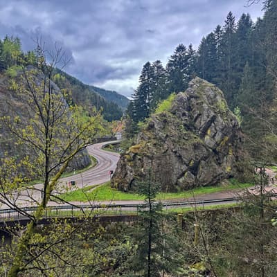 Osterwanderung 2025 – Bild 30