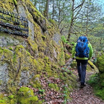Osterwanderung 2025 – Bild 35
