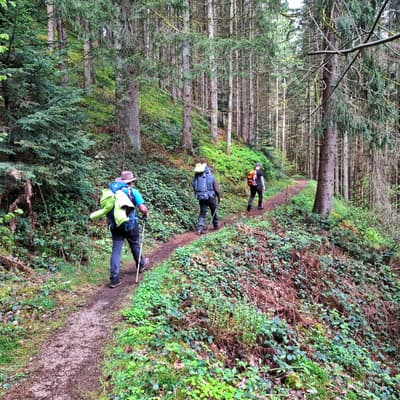 Osterwanderung 2025 – Bild 36