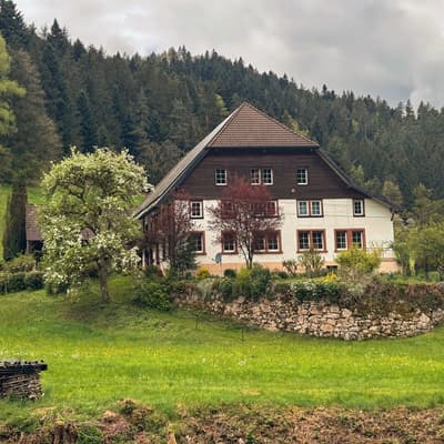 Osterwanderung 2025 – Bild 38