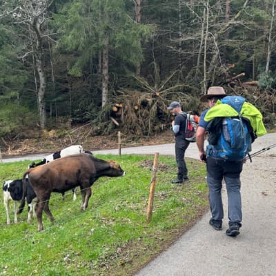 Osterwanderung 2025 – Bild 67