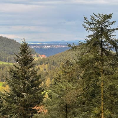Osterwanderung 2025 – Bild 82