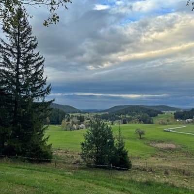 Osterwanderung 2025 – Bild 84