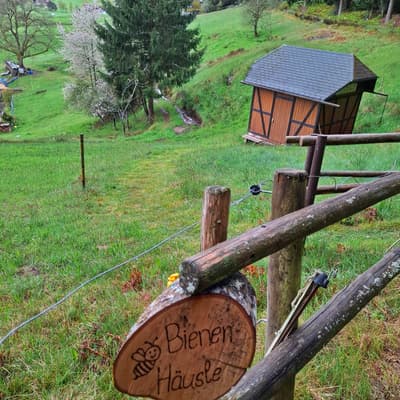 Osterwanderung 2025 – Bild 98