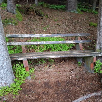 Osterwanderung 2025 – Bild 99