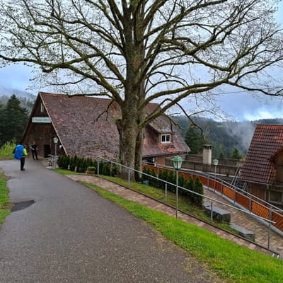 Osterwanderung 2025 – Bild 103