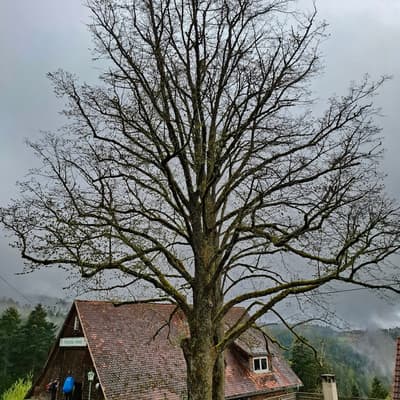 Osterwanderung 2025 – Bild 104