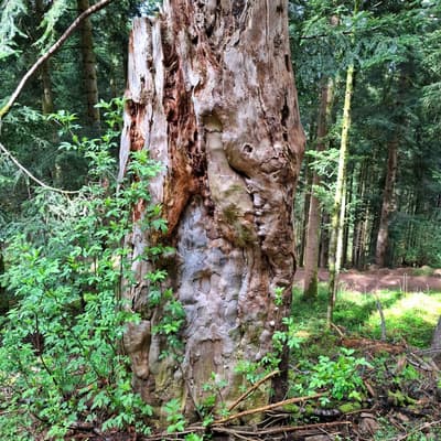 Osterwanderung 2025 – Bild 108