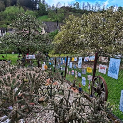 Osterwanderung 2025 – Bild 126