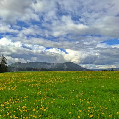Osterwanderung 2025 – Bild 140