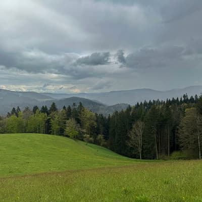 Osterwanderung 2025 – Bild 141