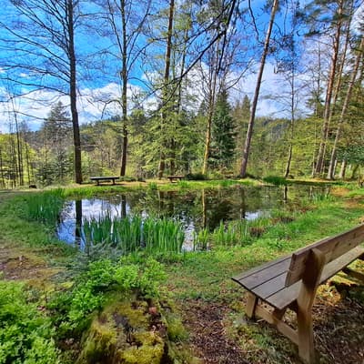 Osterwanderung 2025 – Bild 144