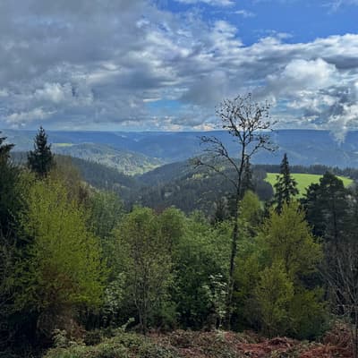 Osterwanderung 2025 – Bild 146