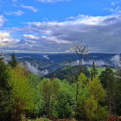Osterwanderung 2025 – Bild 151