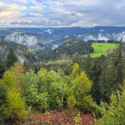Osterwanderung 2025 – Bild 152