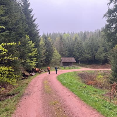 Osterwanderung 2025 – Bild 161