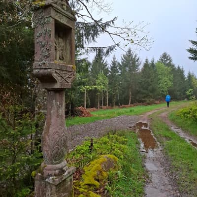 Osterwanderung 2025 – Bild 162