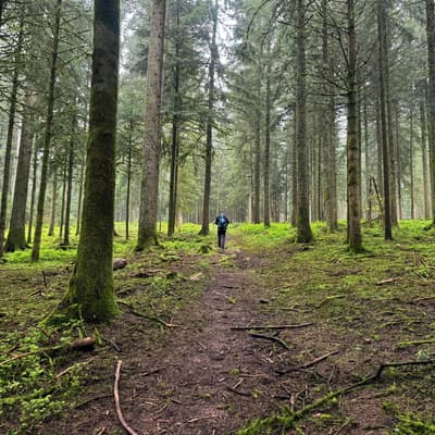 Osterwanderung 2025 – Bild 163
